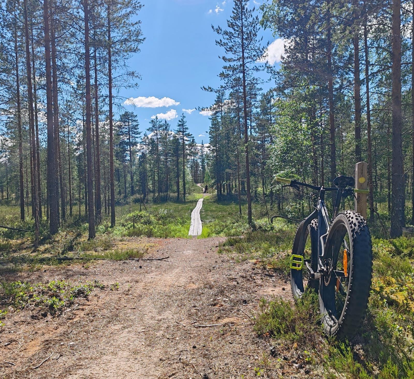 Fatbike maastopyörä, Rokuan maastopyöräreitit | Rokua Outdoors